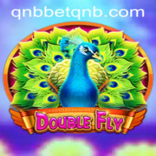 The Exciting World of DoubleFly: A Deep Dive into Gameplay and Rules